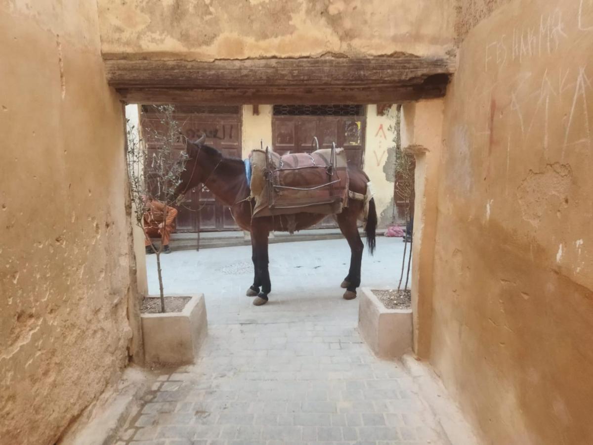 Dar Lantana Hotel Fez Buitenkant foto