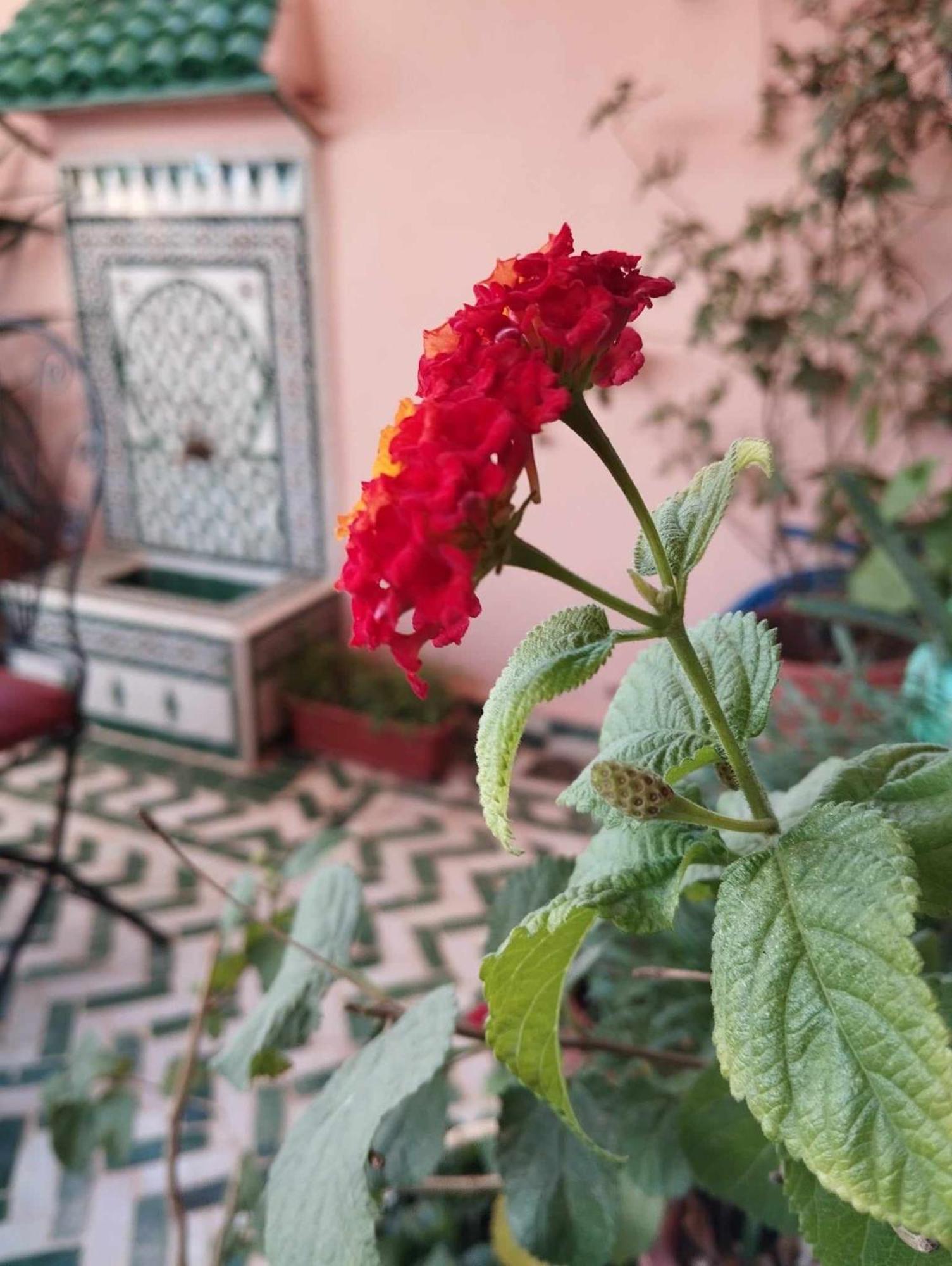 Dar Lantana Hotel Fez Buitenkant foto